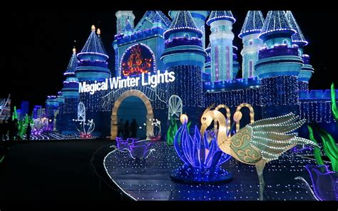Experience a Dazzling Display of Lights at Magic of Lights in Naples, FL